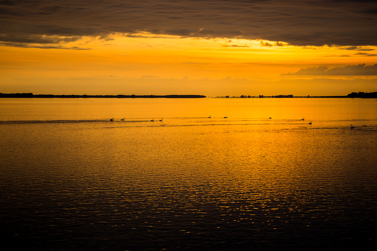 20160920 183100 Kranichtour nach Pramort Darß